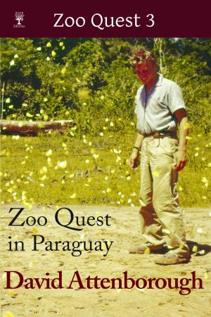 Zoo Quest in Paraguay