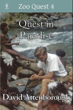 Quest in Paradise