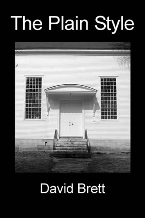 Plain Style, The: Protestant Theology in the History of Design