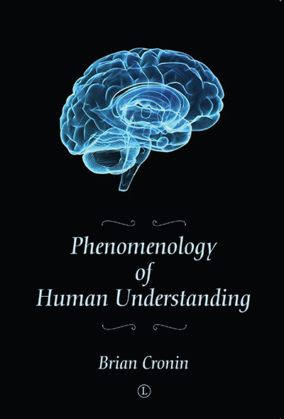 Phenomenology of Human Understanding